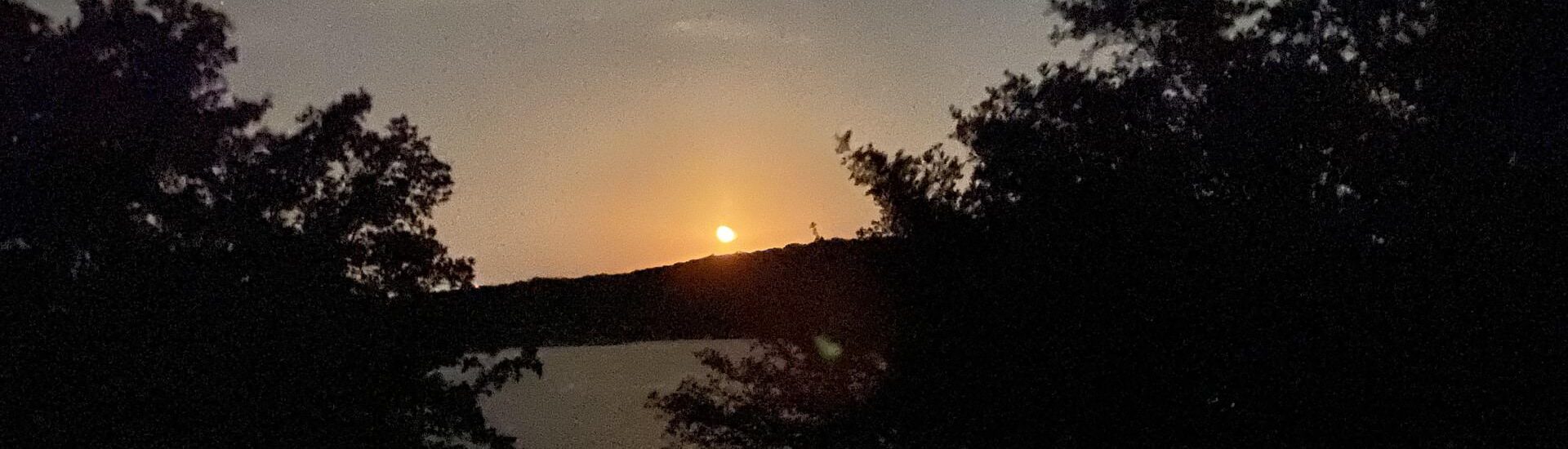 Silhouettes of trees with body of water and hill in the background under moon light