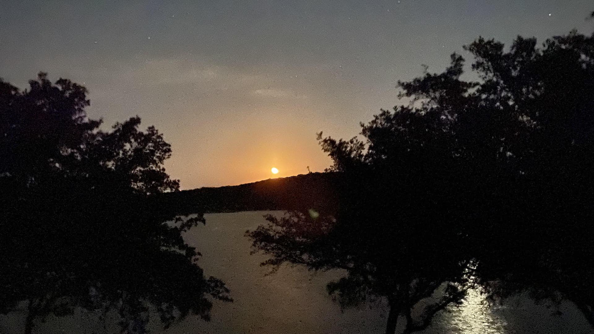 Silhouettes of trees with body of water and hill in the background under moon light