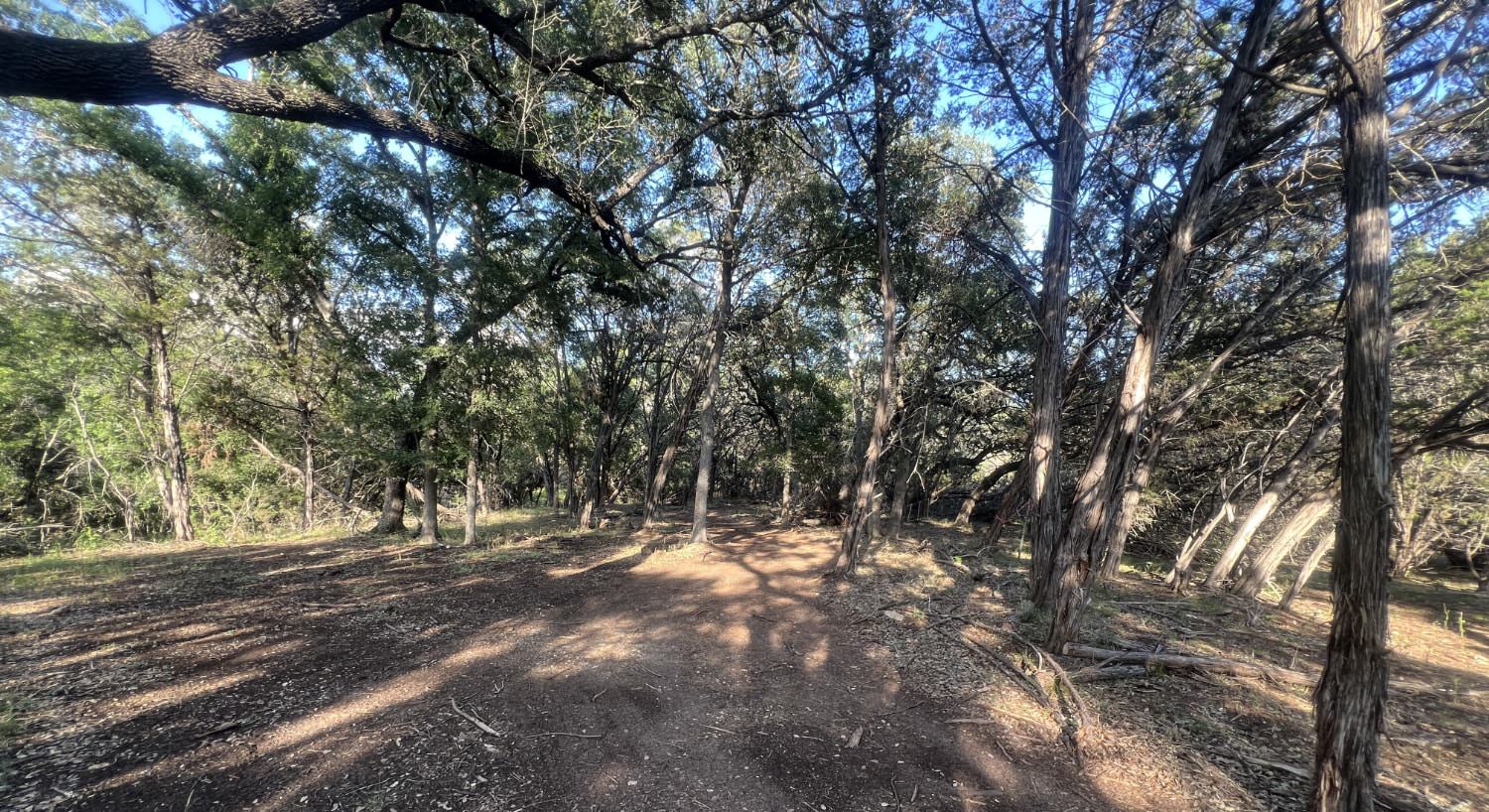 Camping spots surrounded by green grass, shrubs, and trees