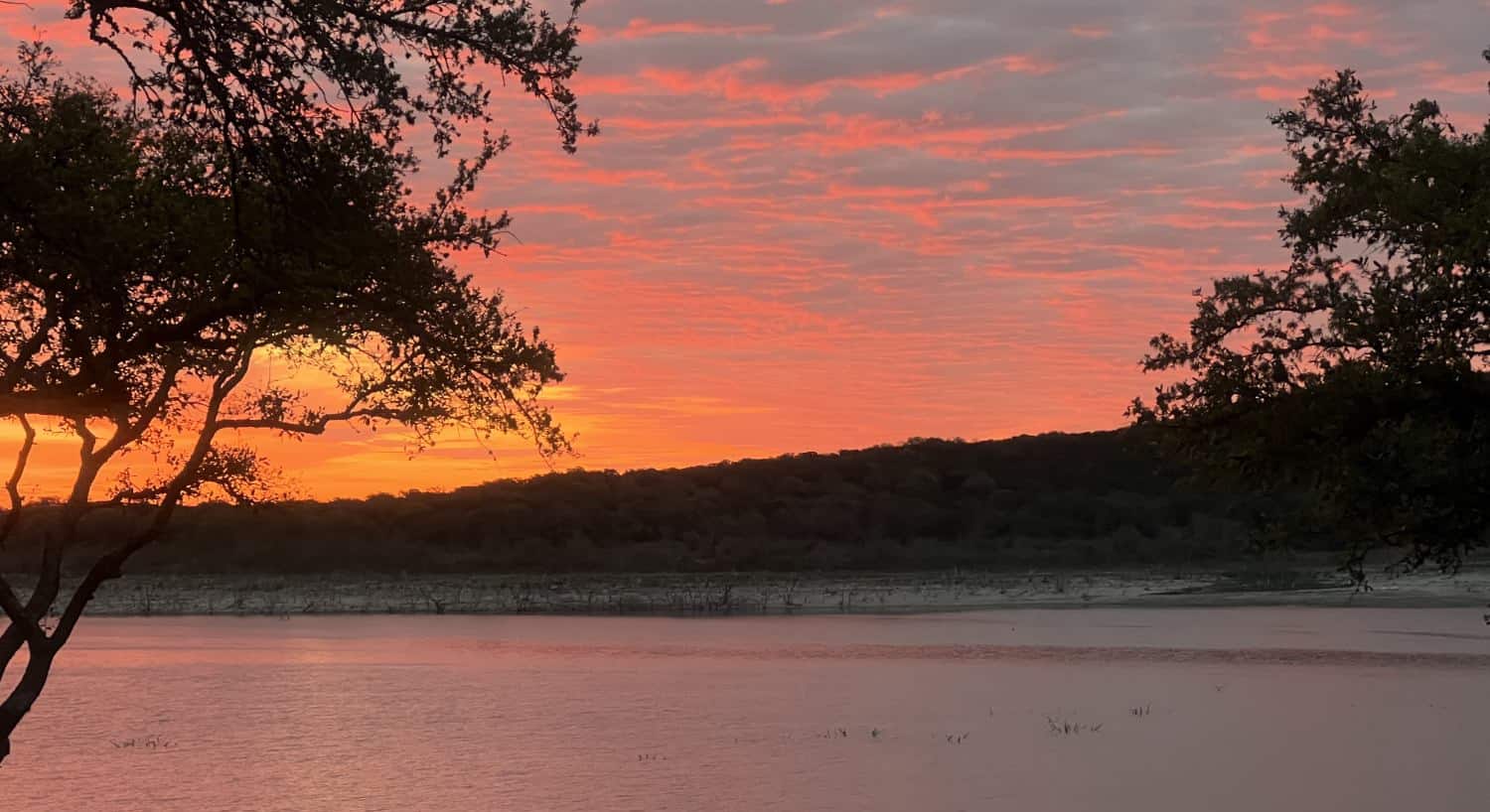 Body of water with the shoreline and trees in the background at dusk