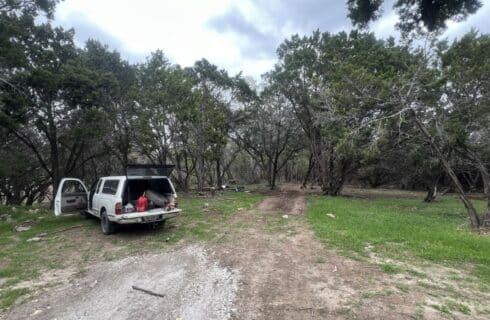 Camping spots surrounded by green grass, shrubs, and trees