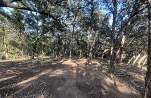 Camping spots surrounded by green grass, shrubs, and trees