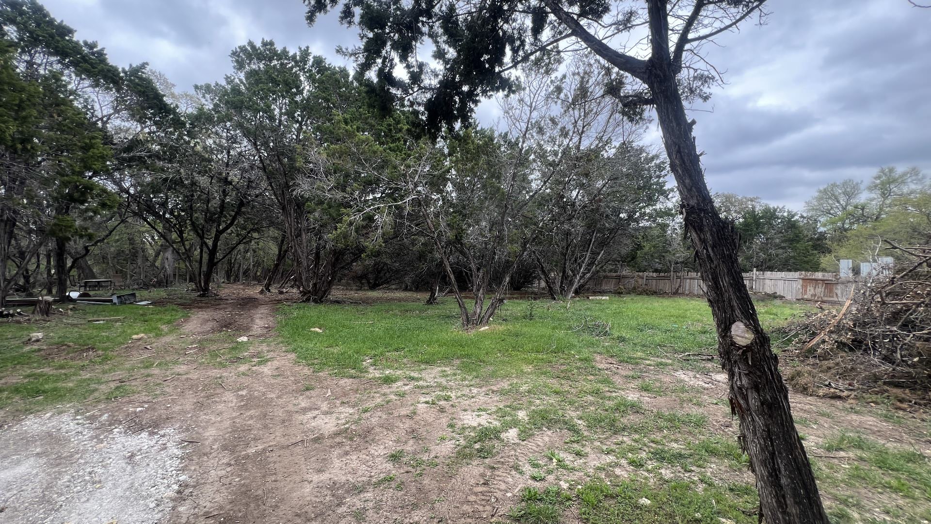 Camping spots surrounded by green grass, shrubs, and trees